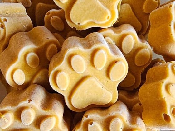 Closeup of paw shaped peanut butter pumpkin dog treats.