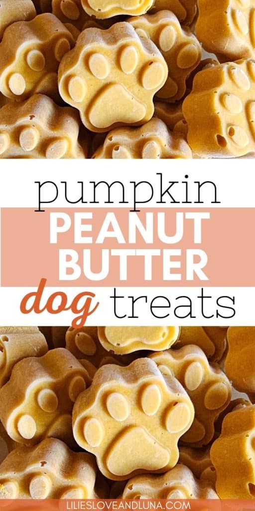 A close-up image of paw-shaped dog treats made from pumpkin and peanut butter, highlighting their homemade quality and appealing design.