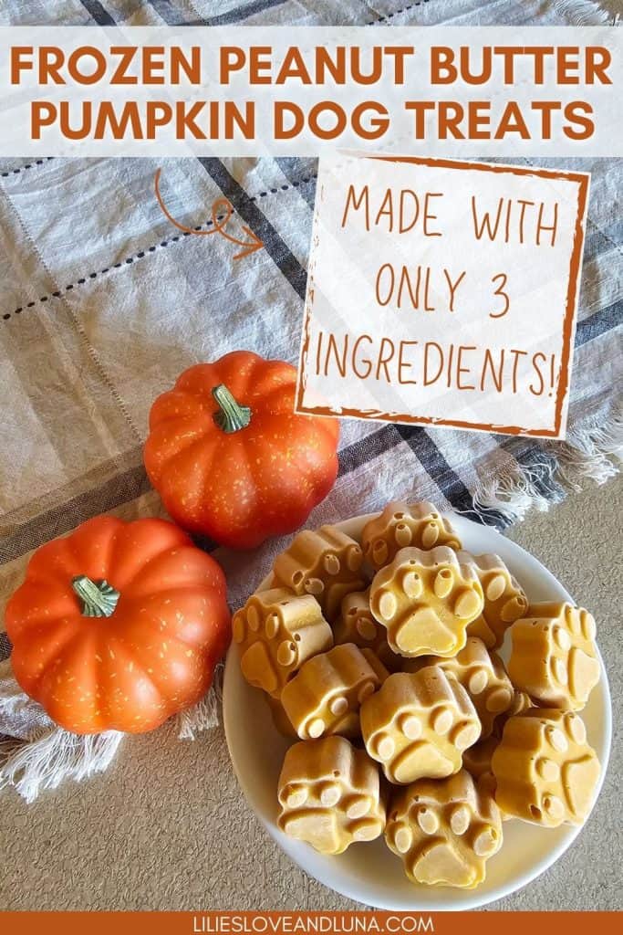 A plate of frozen peanut butter pumpkin dog treats shaped like paw prints is surrounded by small decorative pumpkins on a checkered cloth.