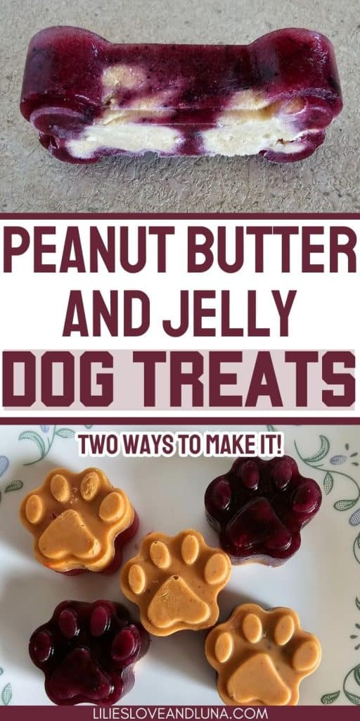 Pin image for peanut butter and jelly dog treats: two ways to make them with a bone shaped frozen treat and paw shaped treats.