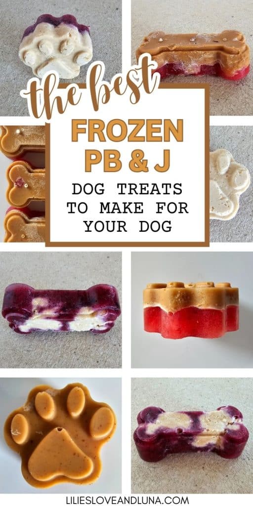 Pin image for the best frozen pb & j dog treats to make for your dog with several images of bone and paw shaped frozen dog treats.