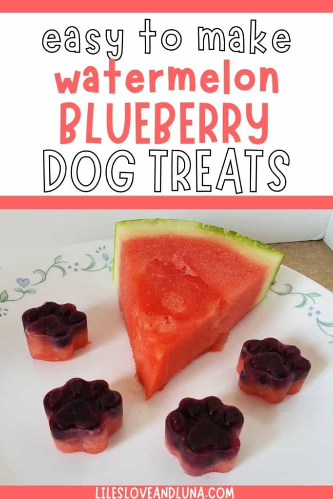 Pin image for easy to make watermelon blueberry dog treats with an image of a piece of watermelon with paw shaped frozen blueberry watermelon treats around it.