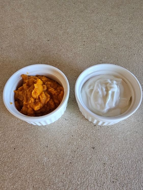 Pumpkin puree and Greek yogurt in individual white bowls.