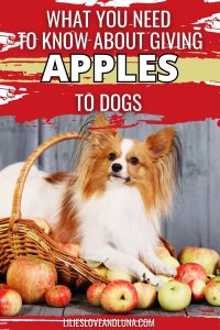 Apples For Dogs - Lilies, Love, and Luna