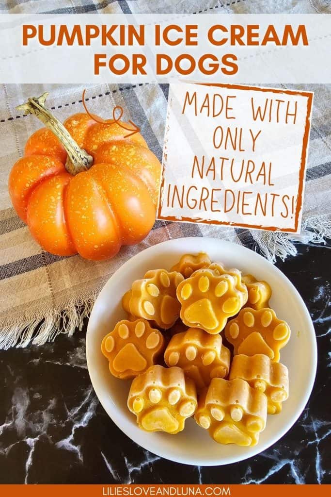 A bowl of paw-shaped frozen pumpkin yogurt treats is displayed alongside a decorative pumpkin on a textured surface, highlighting a simple, homemade dog treat option.