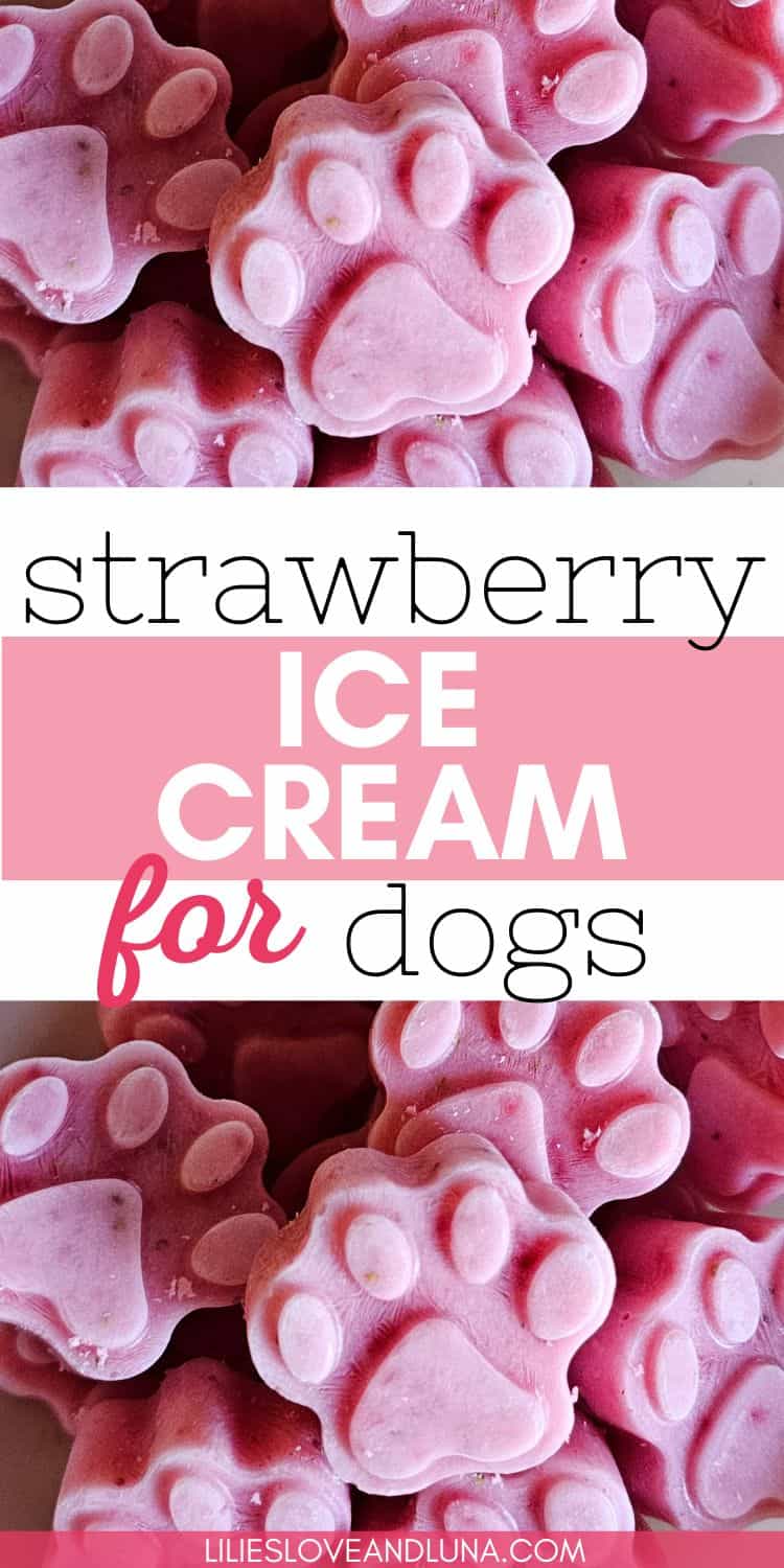 A close-up image of frozen strawberry dog treats shaped like paw prints, highlighting a DIY pet-friendly ice cream option.