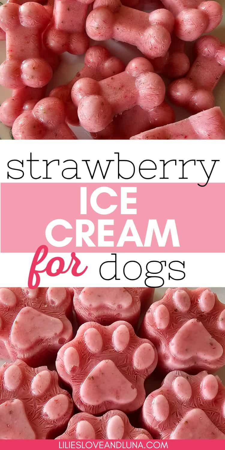 Homemade Strawberry Ice Cream for Dogs Lilies, Love, and Luna