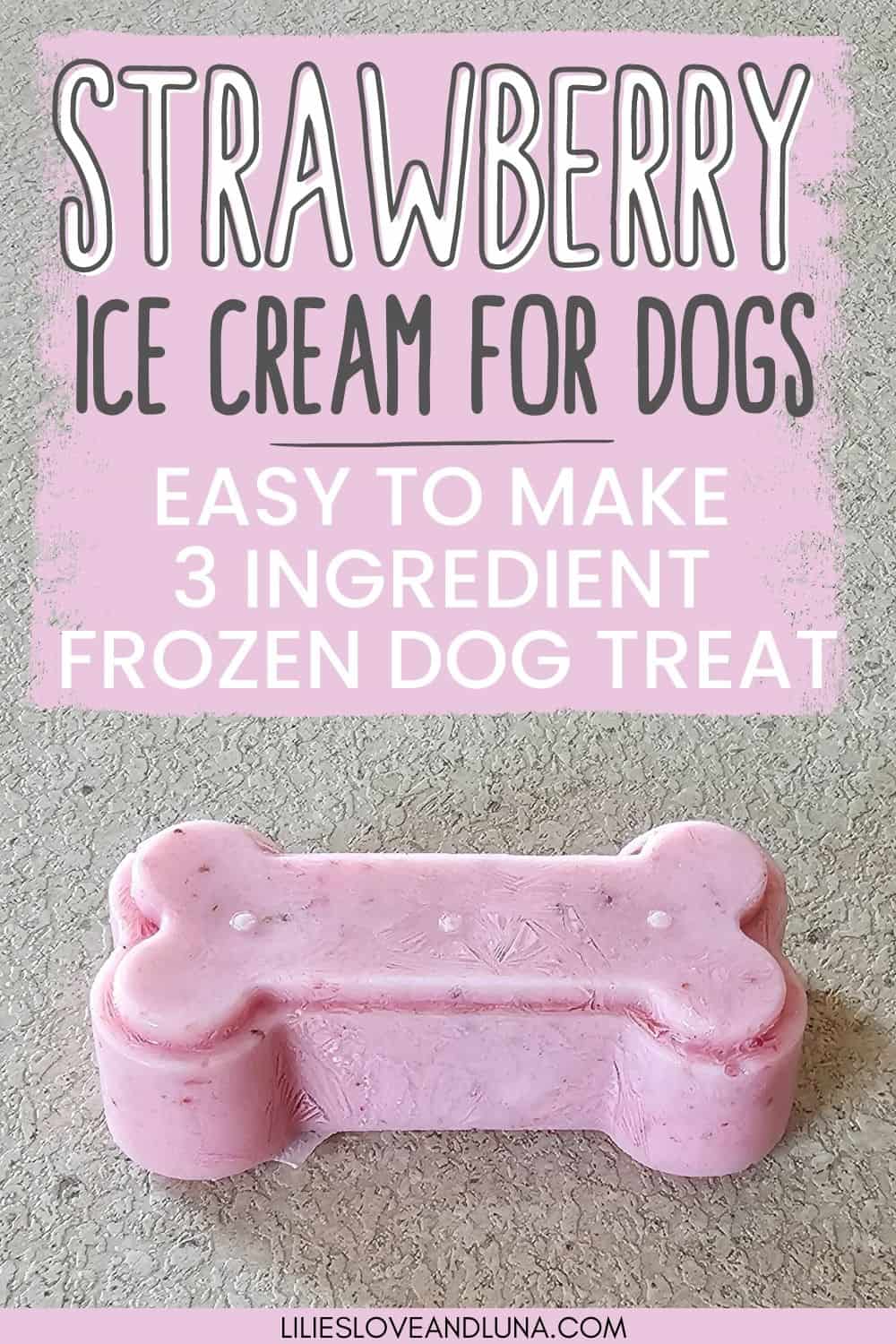 Homemade Strawberry Ice Cream for Dogs Lilies, Love, and Luna