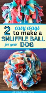 How to Make a DIY Snuffle Ball for Your Dog - Lilies, Love, and Luna