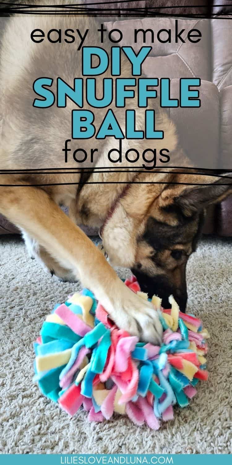 How to Make a DIY Snuffle Ball for Your Dog Lilies, Love, and Luna