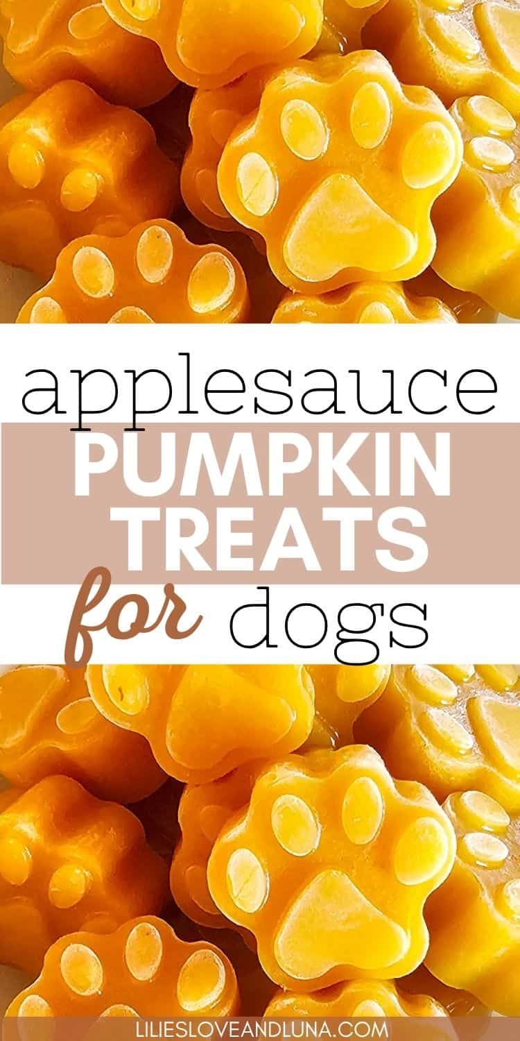 Image shows paw-shaped frozen dog treats made with apple and pumpkin, surrounded by pumpkins, emphasizing easy homemade dog treats for autumn and Halloween.