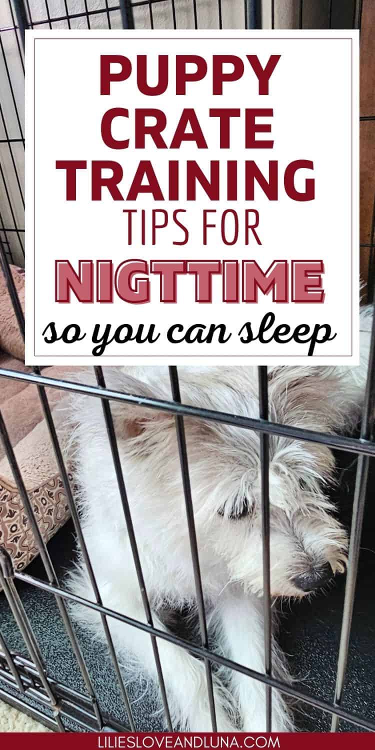 Crate Training A Puppy At Night: Peaceful Sleep For You And Your Dog ...