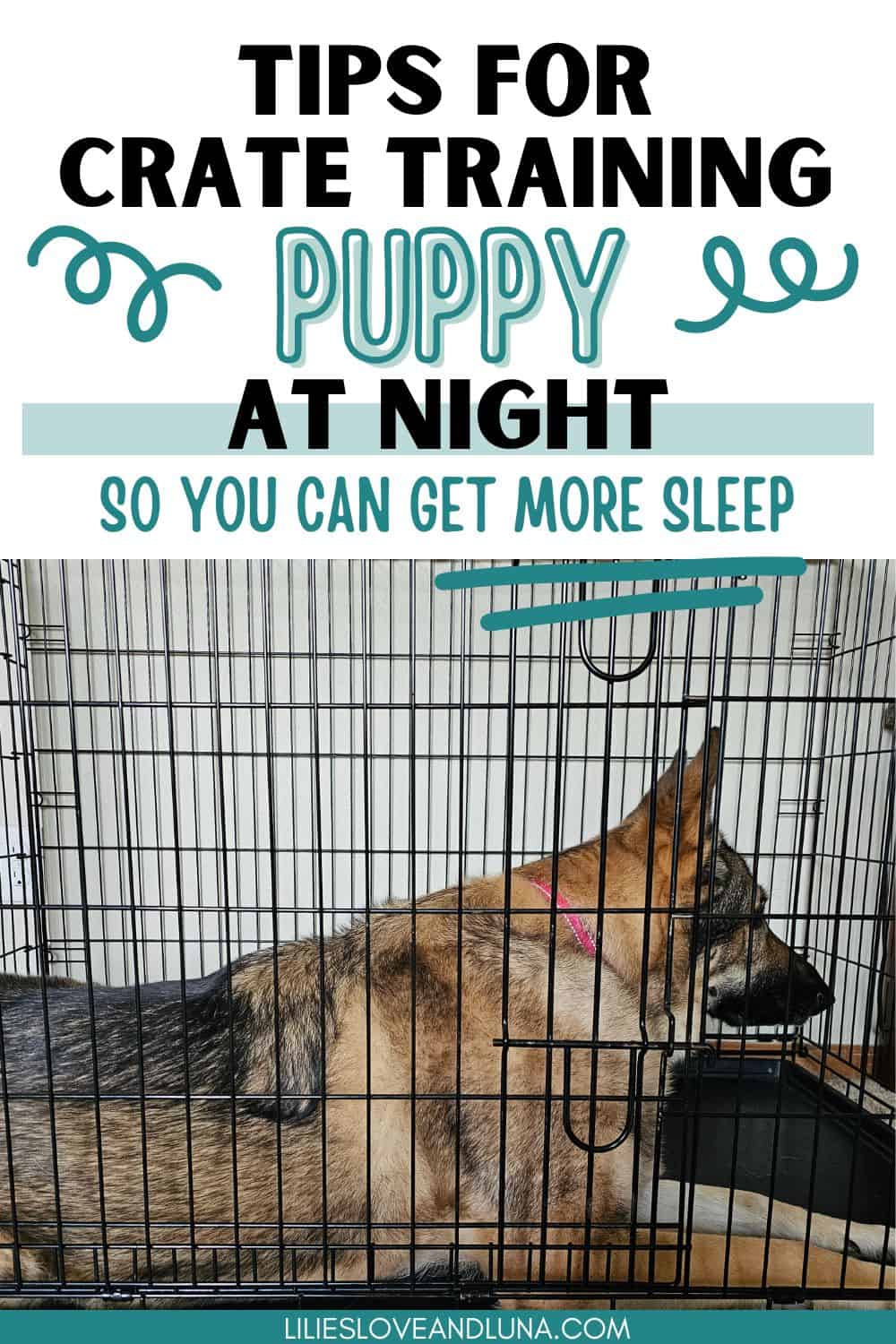 crate-training-a-puppy-at-night-peaceful-sleep-for-you-and-your-dog