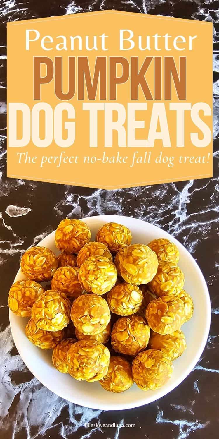 A bowl of no-bake peanut butter pumpkin dog treats made with oats is displayed on a dark marble surface, highlighting a simple, autumn-inspired recipe for homemade dog snacks.