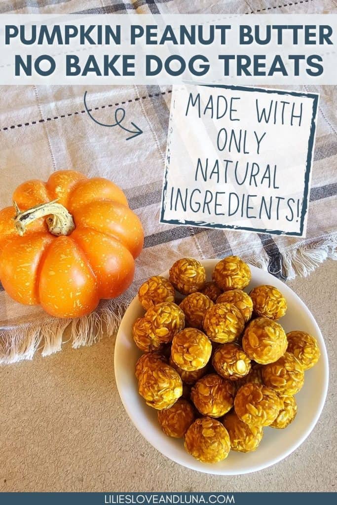 A white bowl filled with round, no-bake dog treats made from pumpkin and peanut butter sits next to a small pumpkin on a textured cloth, highlighting a recipe for homemade dog snacks.