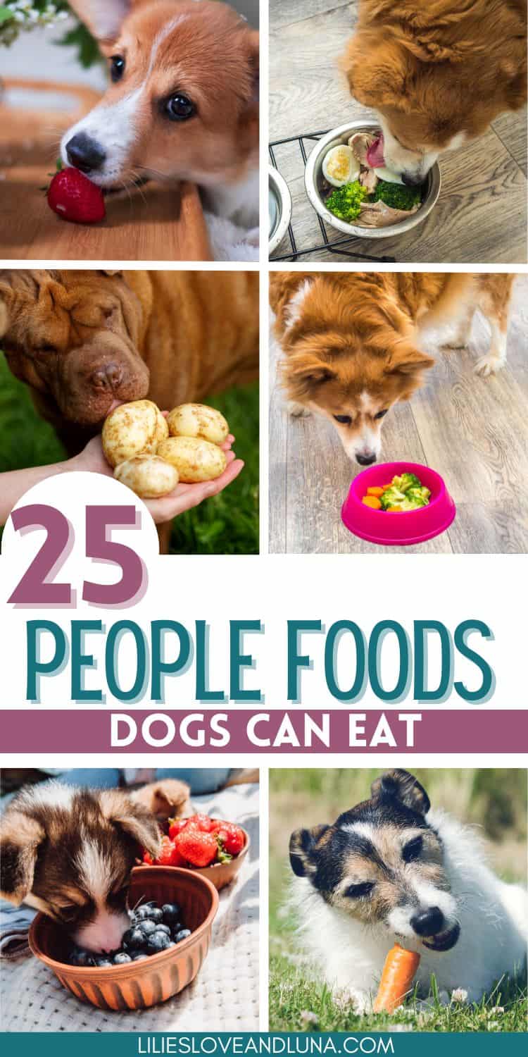 Human Foods Dogs Can Eat Safely Lilies, Love, and Luna