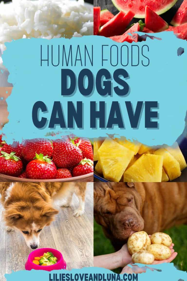 Human Foods Dogs Can Eat Safely - Lilies, Love, and Luna