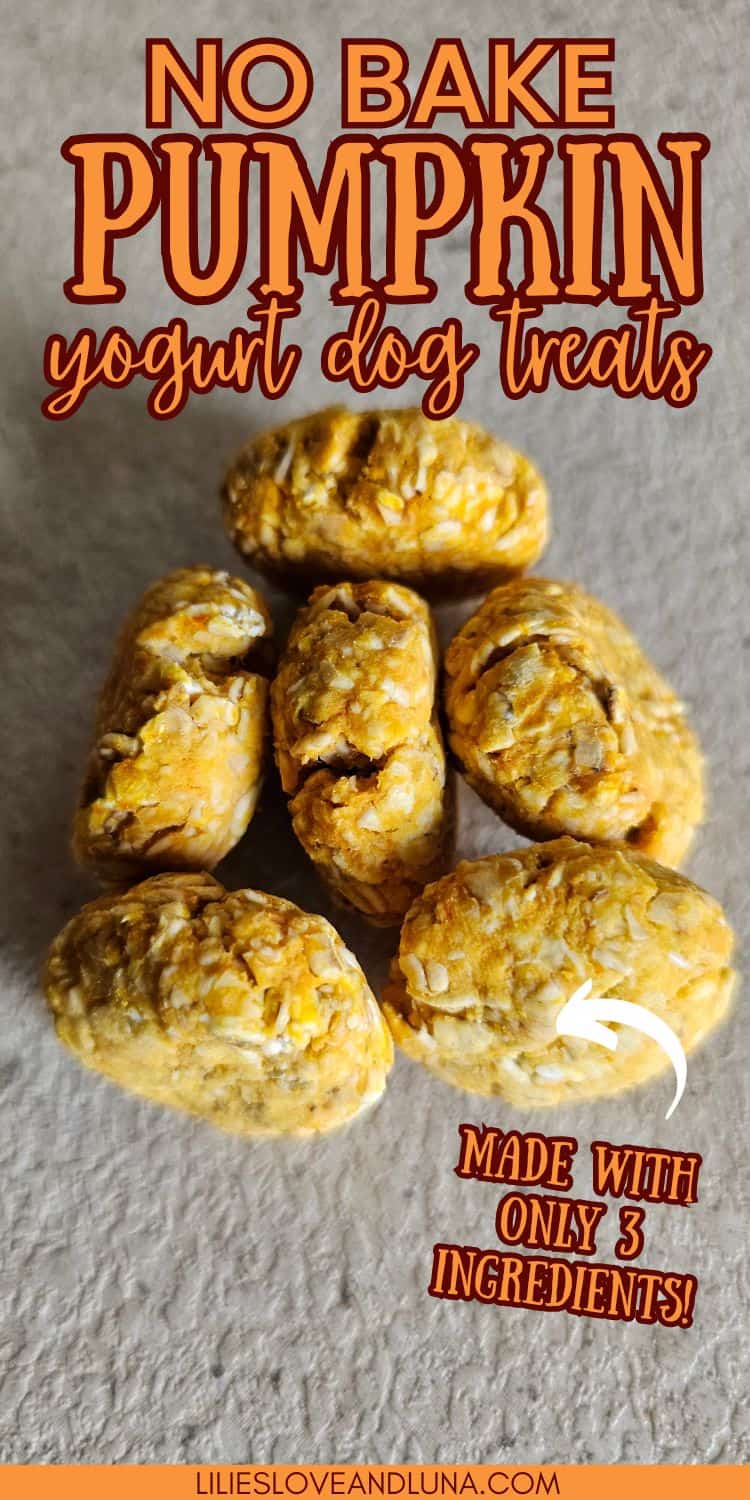 Easy 3Ingredient No Bake Pumpkin & Yogurt Dog Treats Lilies, Love