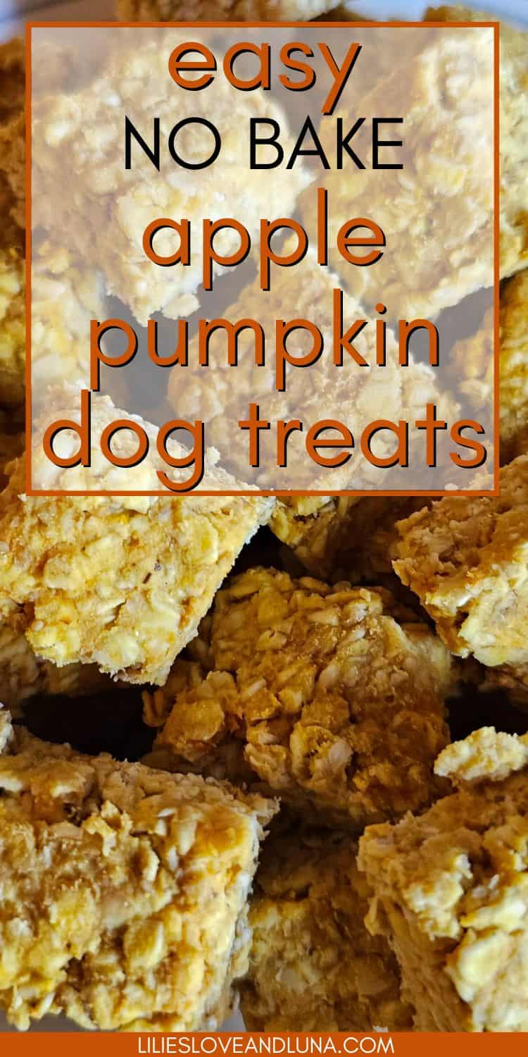 easy-no-bake-apple-pumpkin-dog-treats-lilies-love-and-luna