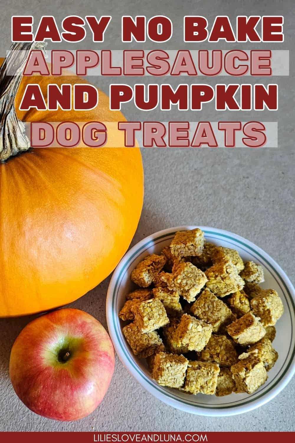 Easy NoBake Apple Pumpkin Dog Treats Lilies, Love, and Luna