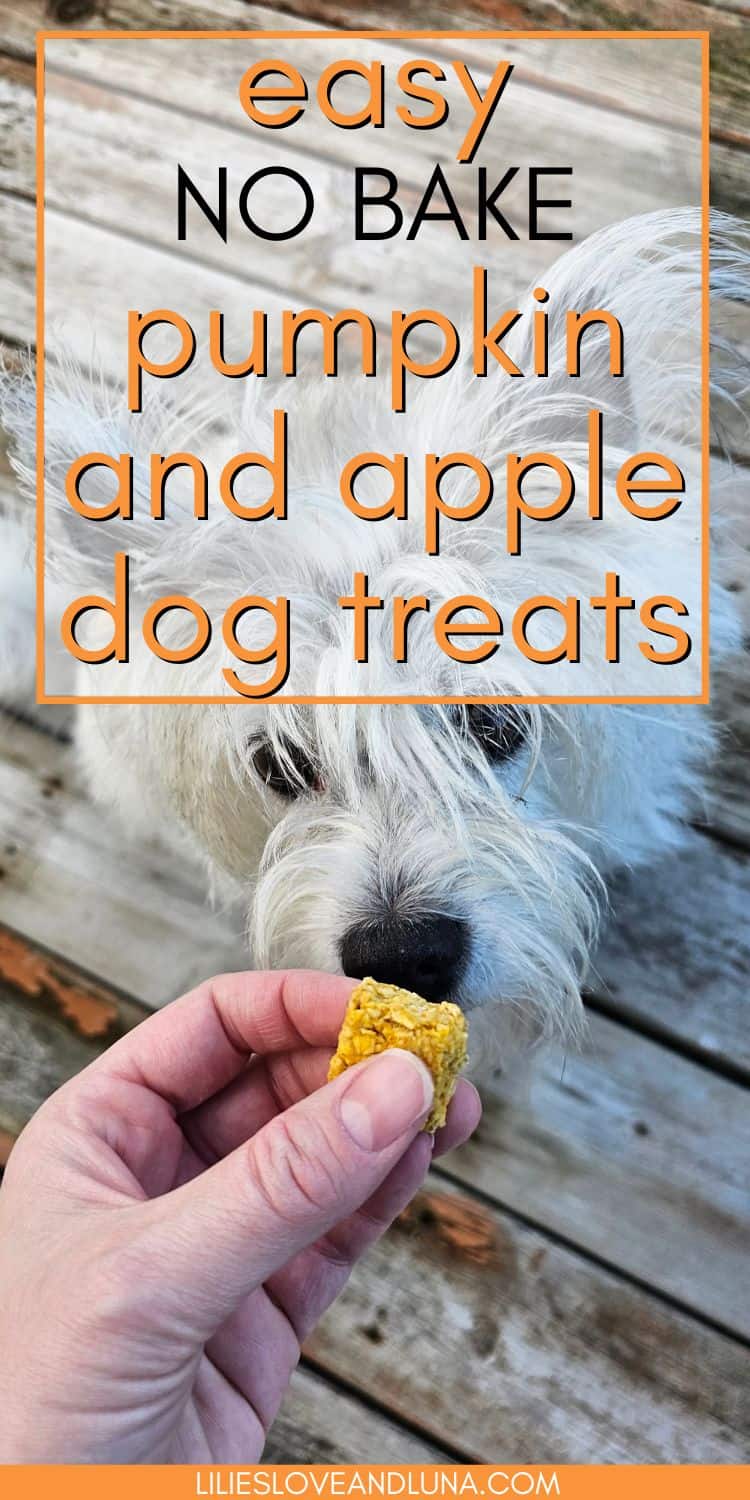 Easy NoBake Apple Pumpkin Dog Treats Lilies, Love, and Luna