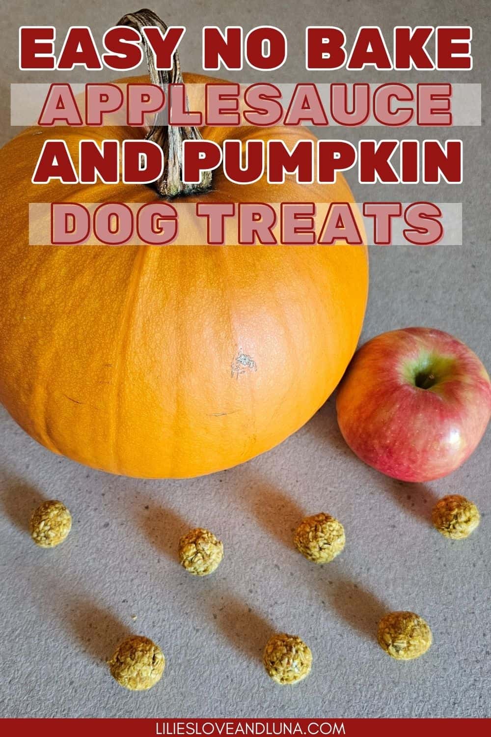 Easy NoBake Apple Pumpkin Dog Treats Lilies, Love, and Luna