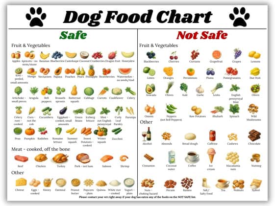 A dog food chart that shows safe and not safe foods for dogs.