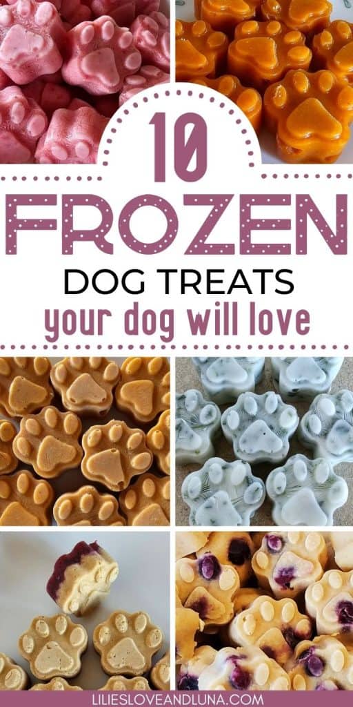 individually-wrapped-dog-treats-dozen-dog-treat-packaging-dog