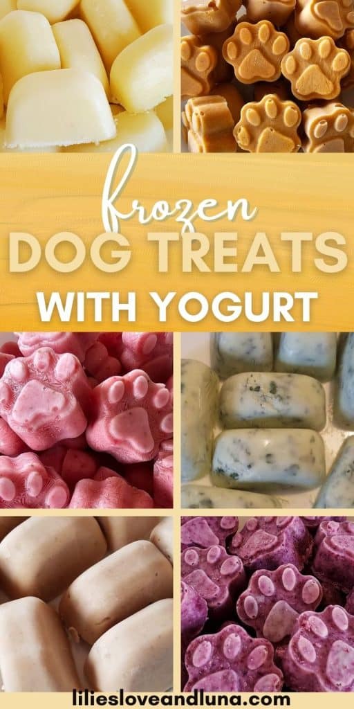 Pin image of a collage of frozen dog treats with a text overlay that reads frozen dog treats with yogurt.