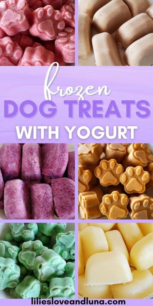 Pin image of a collage of frozen dog treats with a text overlay that reads frozen dog treats with yogurt.