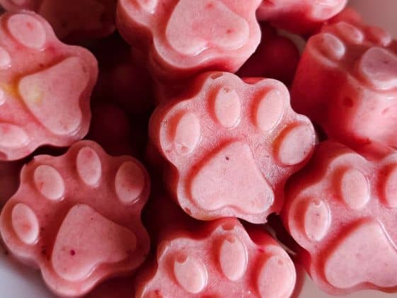 Paw shaped frozen strawberry pineapple dog treats.