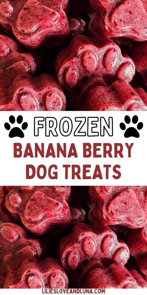 A close-up image of homemade frozen banana berry dog treats shaped like paw prints, showcasing their deep red color and smooth texture.