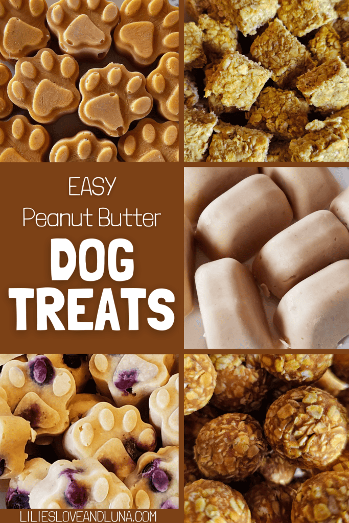 Pin image of 5 different types of peanut butter dog treats with a text overlay that reads easy peanut butter dog treats.