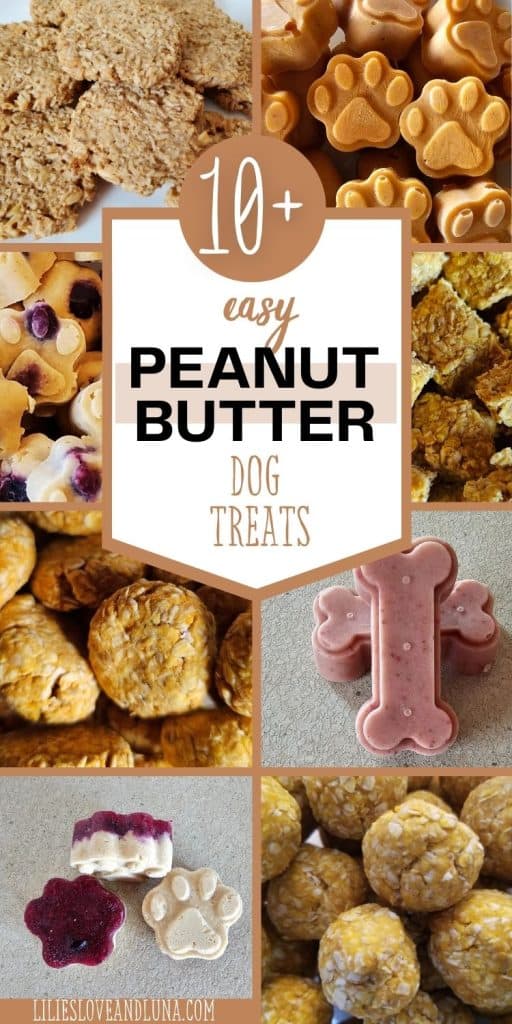 Pin image of 5 different types of peanut butter dog treats with a text overlay that reads 10+ easy peanut butter dog treats.