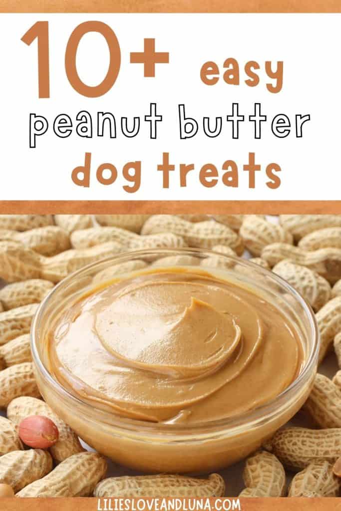 A pin image of a bowl of peanut butter on top of shelled peanuts with text that reads 10+ easy peanut butter dog treats.