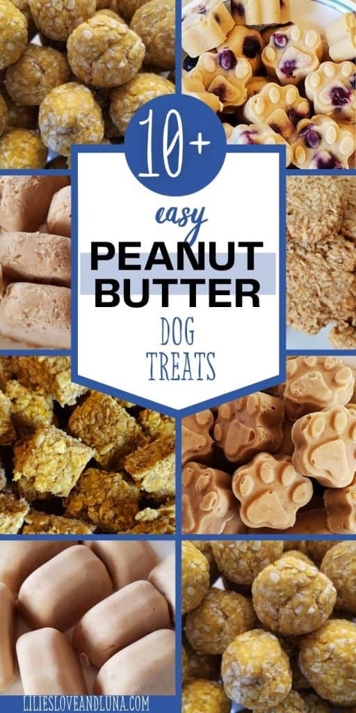 Pin image of 5 different types of peanut butter dog treats with a text overlay that reads 10+ easy peanut butter dog treats.