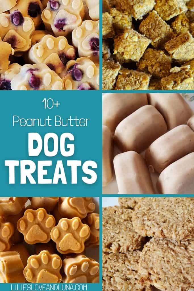 Pin image of 5 different types of peanut butter dog treats with a text overlay that reads 10+ peanut butter dog treats.