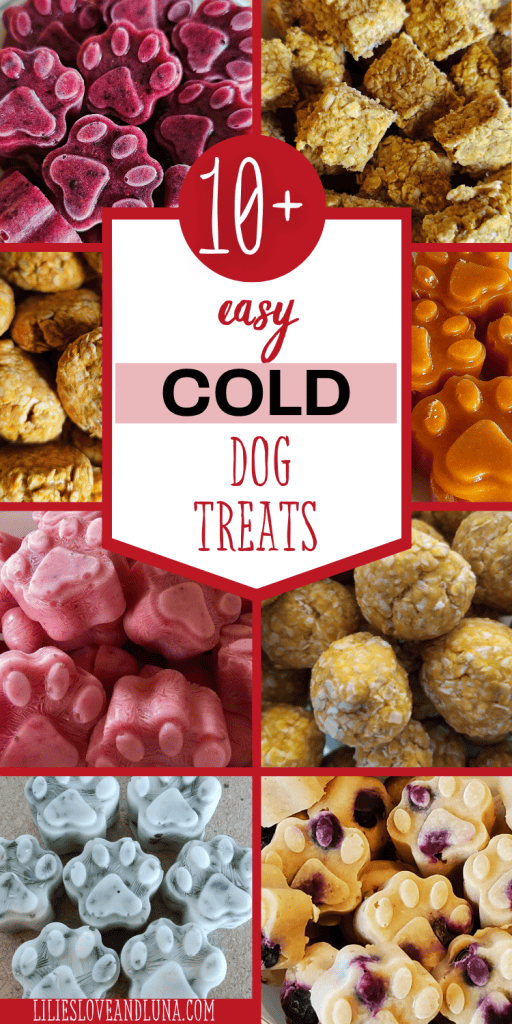 Pin image of 8 different types of cold dog treats with a text overlay that reads 10+ easy cold dog treats.