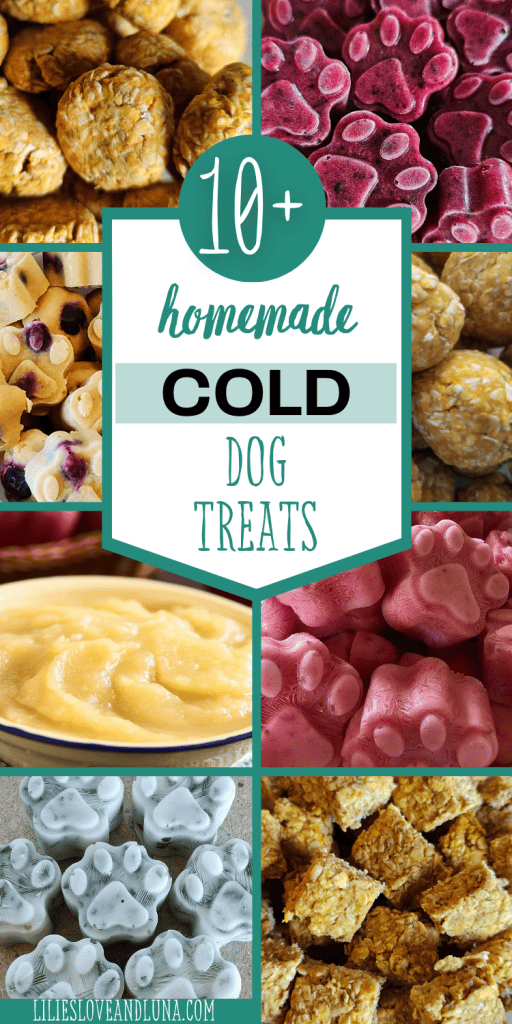 Pin image of 8 different types of cold dog treats with a text overlay that reads 10+ homemade cold dog treats.