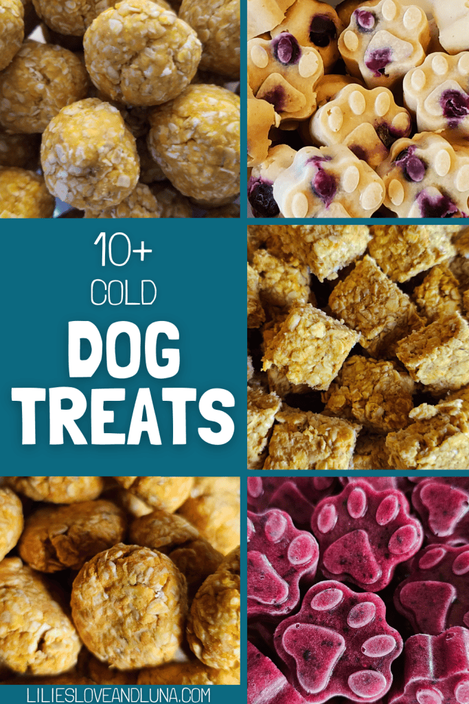 Pin image of 5 different types of cold dog treats with a text overlay that reads 10+ cold dog treats.