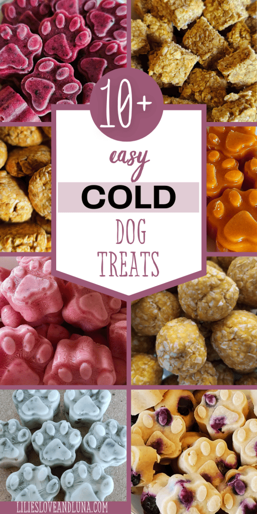 Pin image of 8 different types of cold dog treats with a text overlay that reads 10+ easy cold dog treats.