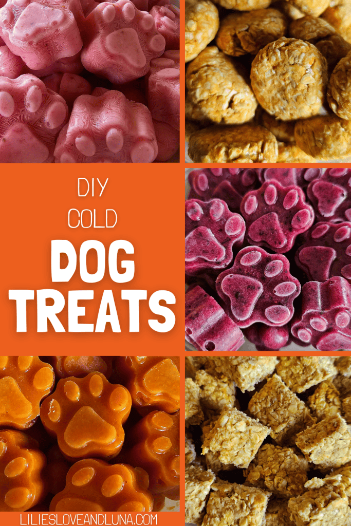 Pin image of 5 different types of cold dog treats with a text overlay that reads DIY cold dog treats.