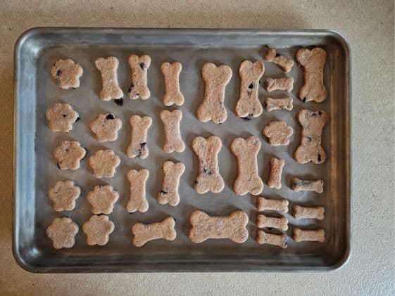 Paw and bone shaped apple blueberry dog treats on a cookie sheet.