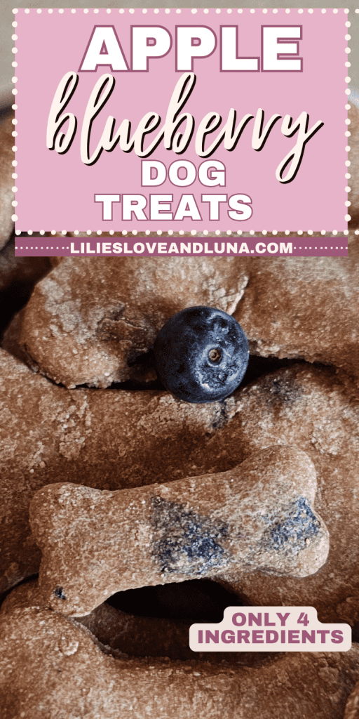 Pin image of bone shaped dog treats with a text overlay that reads apple blueberry dog treats.