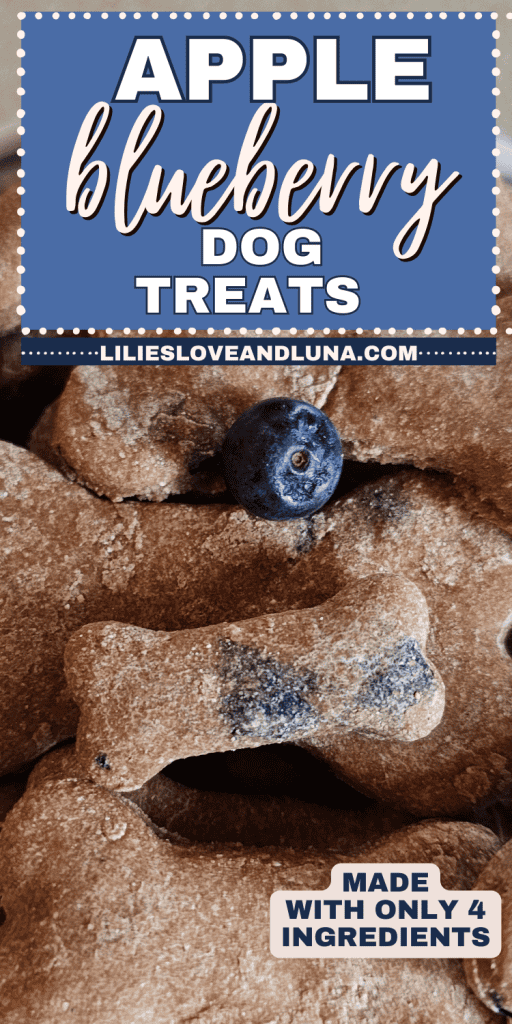 Pin image of bone shaped dog treats with a text overlay that reads apple blueberry dog treats.