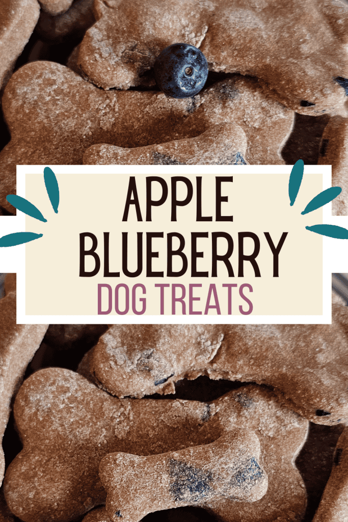 Pin image of bone shaped dog treats with a text overlay that reads apple blueberry dog treats.