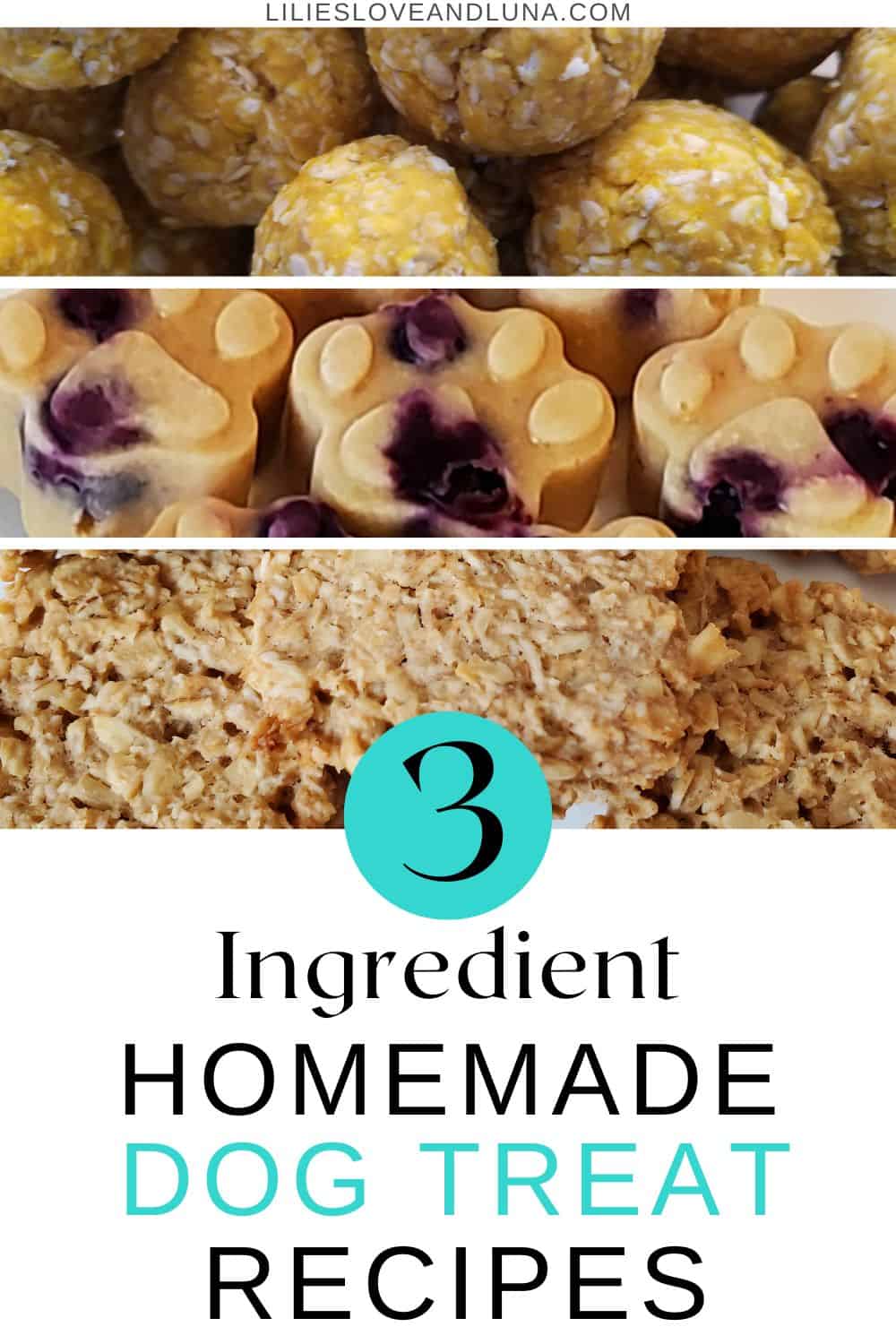 Pin image of 3 different dog treats with a text overlay that reads 3 ingredient homemade dog treat recipes.