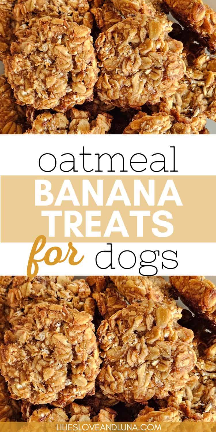 Homemade Baked Banana Oat Dog Treats - Lilies, Love, and Luna