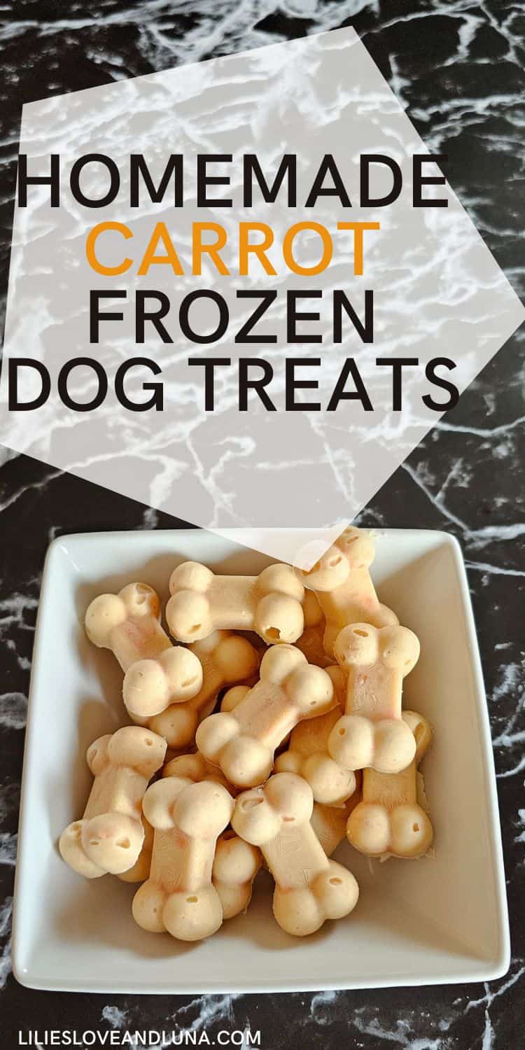 A white bowl filled with bone-shaped frozen carrot dog treats sits on a dark marble surface, with text overlay that reads "Homemade Carrot Frozen Dog Treats."