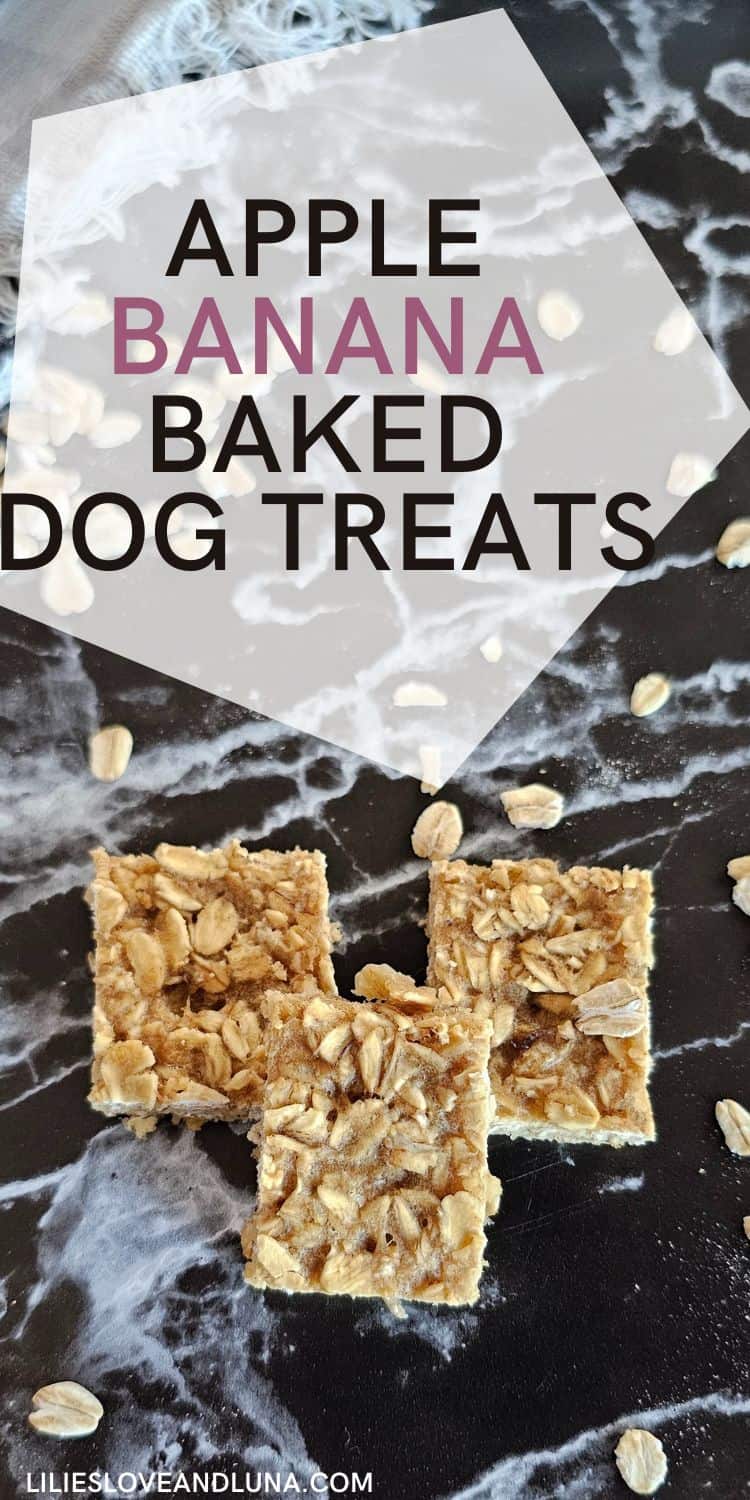 A close-up of homemade apple banana dog treats made with oats, displayed on a dark surface, featuring the title "Apple Banana Baked Dog Treats" prominently above.